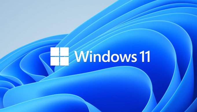 Windows 11 Pro